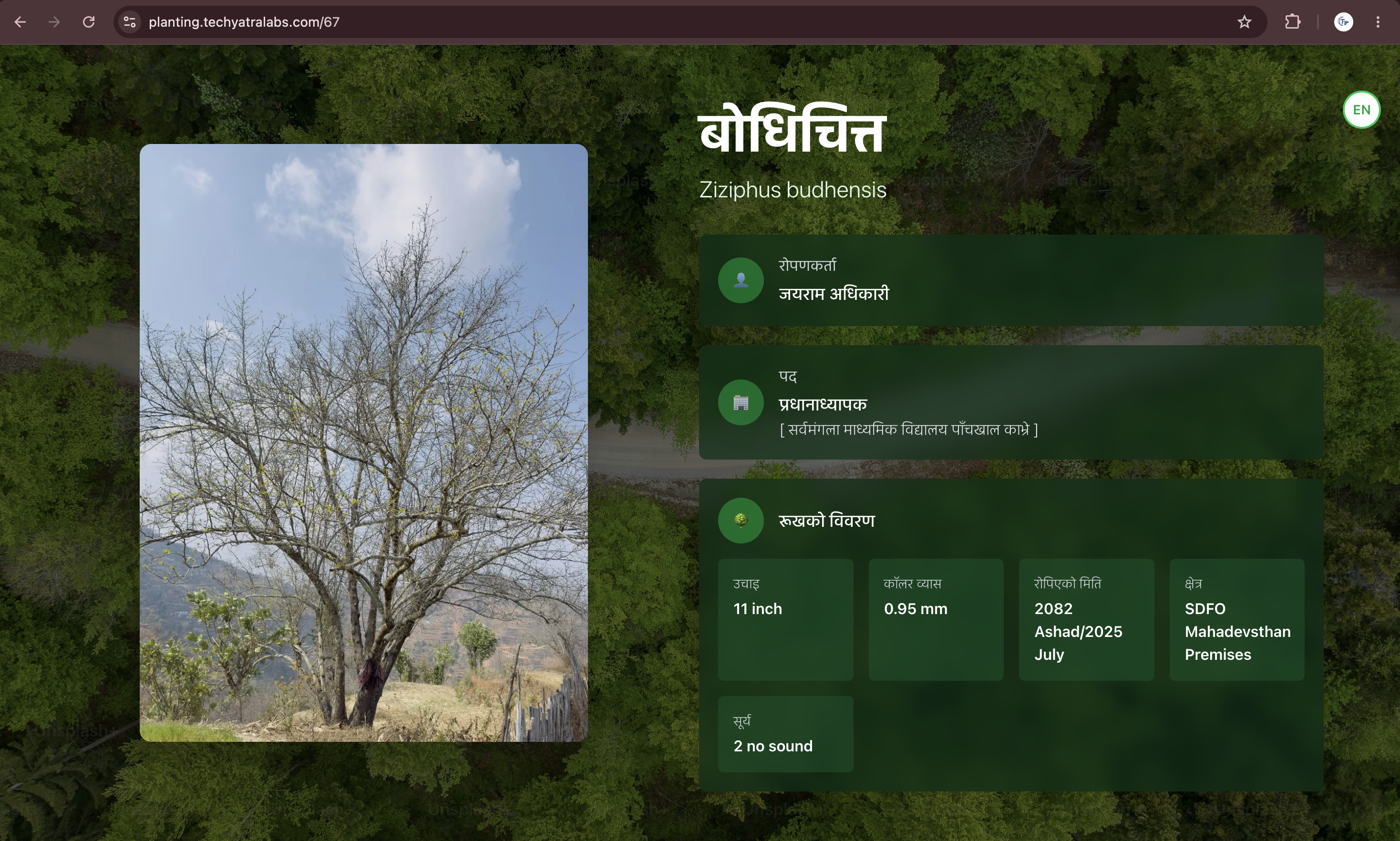 QR Tree Scanner featured image 1